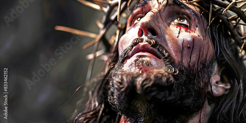 portrait of a person with a beard with a crown of thorns.