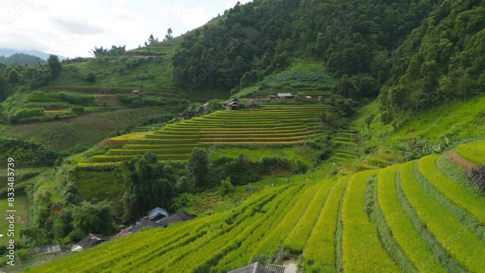 Aerial top view of fresh paddy rice terraces, green agricultural fields in countryside or rural area of Mu Cang Chai, mountain hills valley in Asia, Vietnam. Nature landscape background. Aerial top view of fresh paddy rice terraces, green agricultural fields in countryside or rural area of Mu Cang Chai, mountain hills valley in Asia, Vietnam. Nature landscape background.