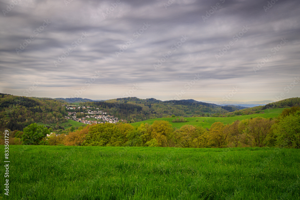 Fototapeta premium landscape in the mountains