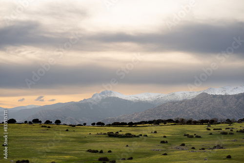 A grassy field stretches out against a backdrop of mountains under a cloudy sky