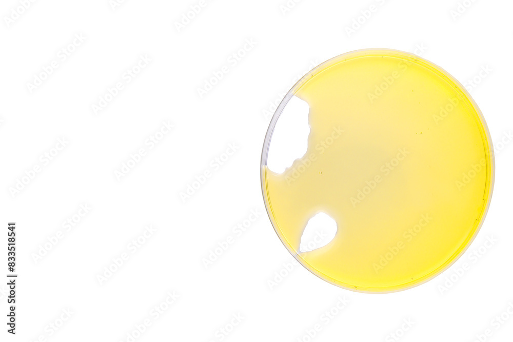 Oil serum droplet on petri dish, its cosmetic product laboratory cosmetic , medicine microbiology background. Oil serum droplet on petri dish, its cosmetic product laboratory cosmetic , medicine microbiology background.