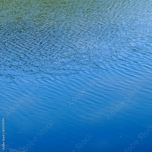 Light ripples on the blue river water
