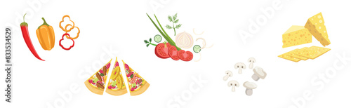 Pizza Cooking Ingredient and Product Item Vector Set