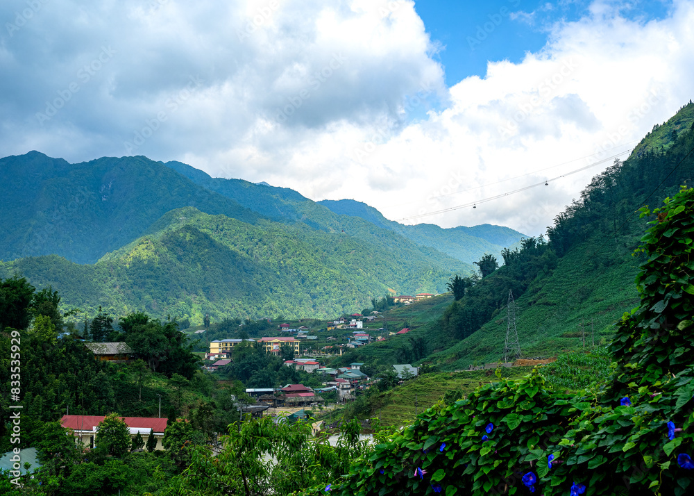 custom made wallpaper toronto digitalMountain and forest landscape on the outskirts of Sapa city, Lao Cai province, Vietnam. Sapa is a famous tourist and resort city from the French colonial period until today