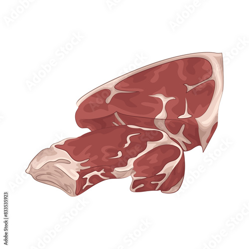 Illustration of meat 