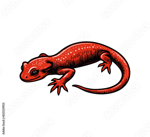 salamander vintage hand drawn vector