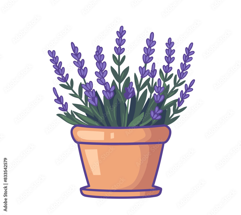A lavender plant with purple flowers growing in a terracotta pot, illustrated with clean lines and vibrant colors. Flat vector illustration. A lavender plant with purple flowers growing in a terracotta pot, illustrated with clean lines and vibrant colors. Flat vector illustration.