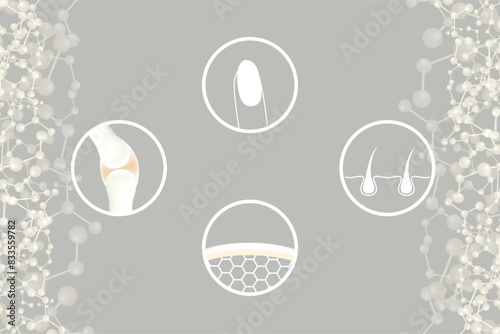 Hyaluronic acid skin hair nails bone and joint solutions ad, white collagen serum drop with cosmetic advertising background ready to use, illustration vector.	