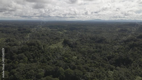 The aerial view of Dayak Village Sungai Utik in Kapuas Hulu Regency, West Borneo.
 photo