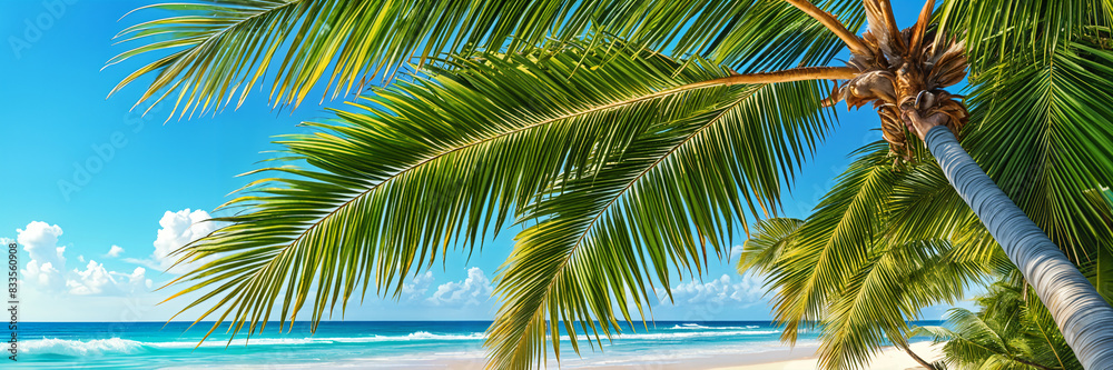 A tropical beach scene with a palm tree prominently featured, set against a clear blue sky and calm ocean.