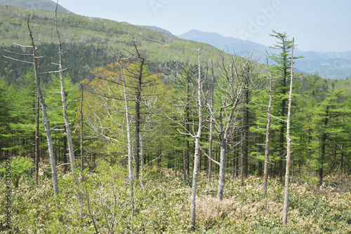 The beautiful view from the top of the Karikachi mountain pass in Hokkaido Japan
