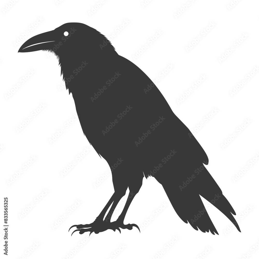silhouette raven animal full body black color only silhouette raven animal full body black color only
