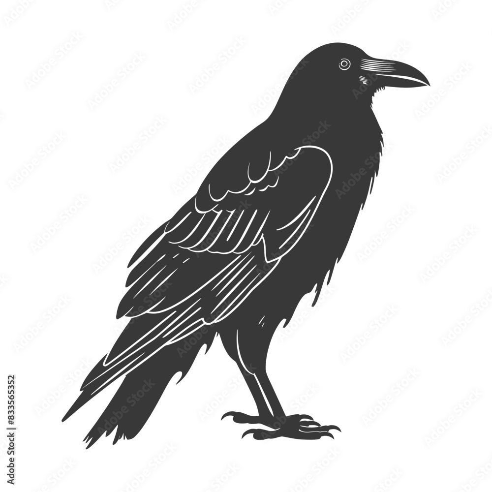 silhouette raven animal full body black color only silhouette raven animal full body black color only