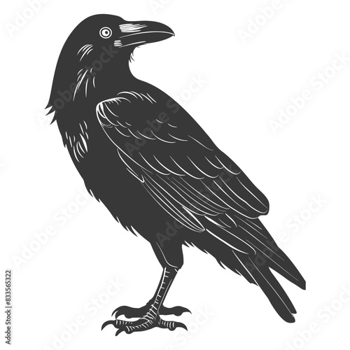 silhouette raven animal full body black color only