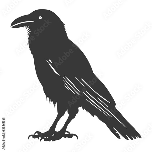 silhouette raven animal full body black color only