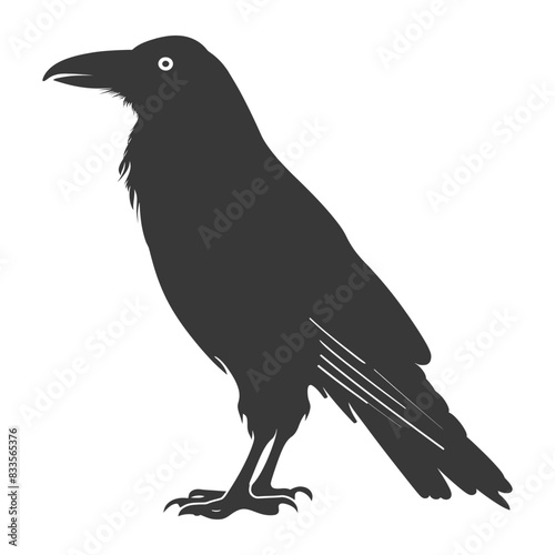 silhouette raven animal full body black color only