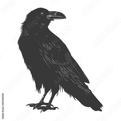 silhouette raven animal full body black color only
