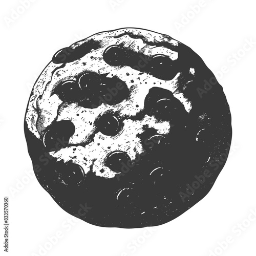 Engraved Chocolate Chip Cookie: Detailed Monochrome Illustration on White.