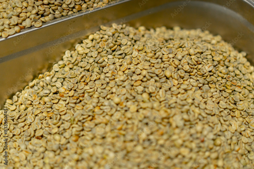 Obraz premium close up at small coffee roasting factory green coffee in iron containers preparing for roasting