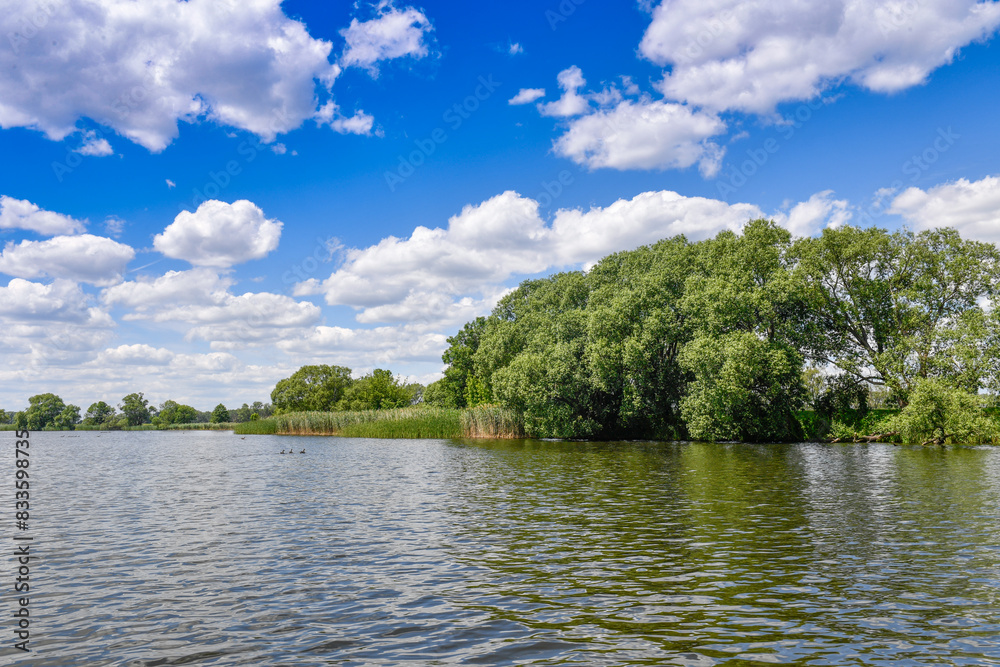 Fototapeta premium Seenlandschaft - Havel bei Deetz - Land Brandenburg