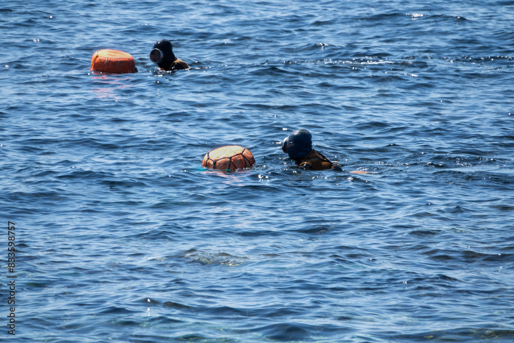 View of the working hanyeo, a female diver collecting seafood