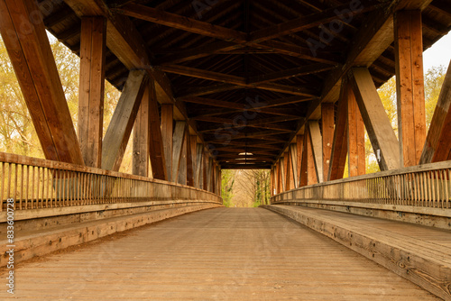 wooden bridge