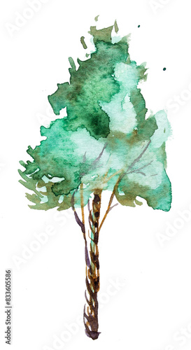 Green tree illustration isolated on white. Watercolor tree clipart. photo