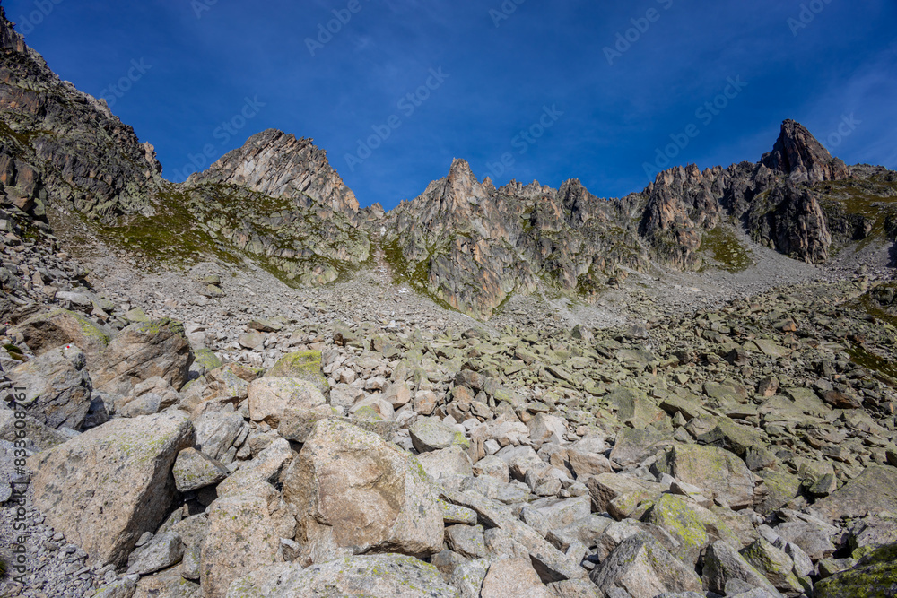 Chamonix Montblanc beautiful alpine mountain summits landscape. Alps mountains with snow and glacier above green valley of Chamonix in France. Alps beautiful scenery in summer