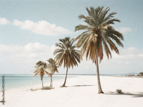 Tropical summer background with palm trees on sandy beach.