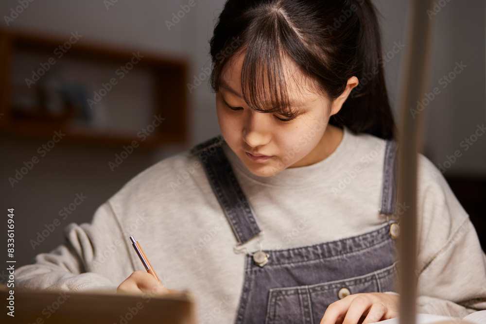 自室にて受験勉強をする女子高生 自室にて受験勉強をする女子高生