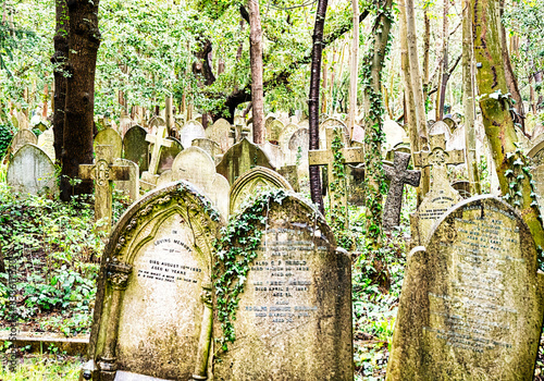 Grabsteine dicht gedrängt inmitten von Bäumen auf dem Highgate Cemetery Ostteil Camden, London	
 photo