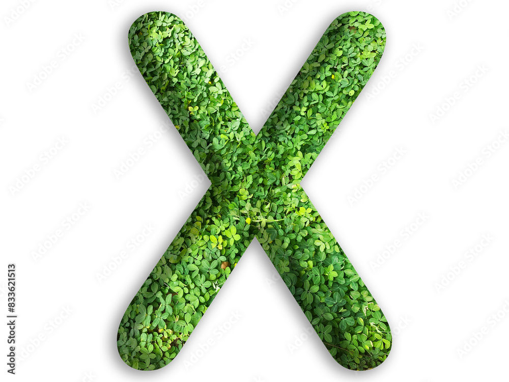 3d of alphabet X, design made from green grass on white background 3d of alphabet X, design made from green grass on white background