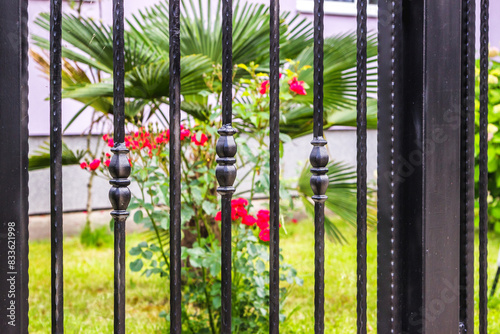 Wrought Iron Fence. Metal fence 