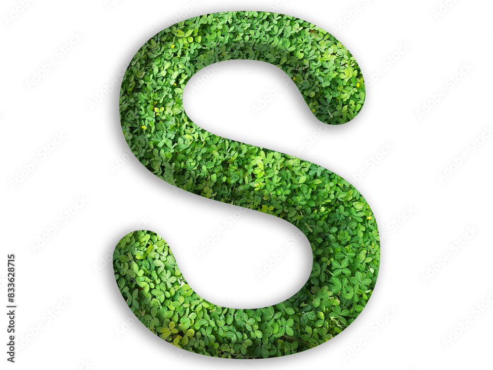 3d of alphabet S, design made from green grass on white background 3d of alphabet S, design made from green grass on white background
