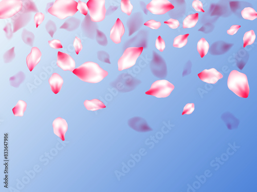 Pink sakura petals confetti flying and falling