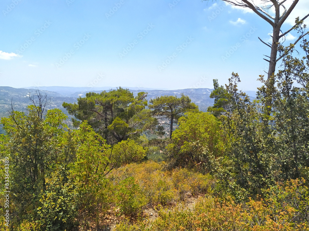 landscape with trees and mountains landscape with trees and mountains