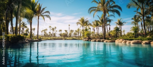 View through paltrees on the turquoise clear water of a pool. Creative banner. Copyspace image