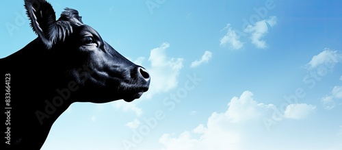 Head of a cow against the sky. Creative banner. Copyspace image photo