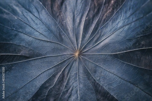 close up of a flower