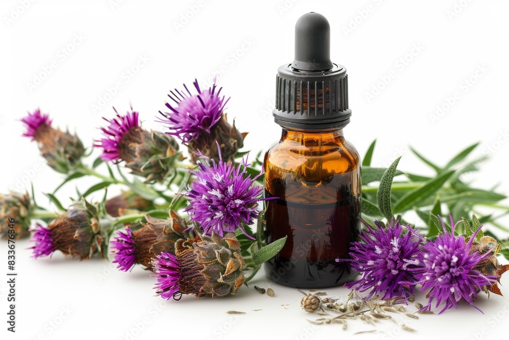 herbal supplement, milk thistle oil extract in amber bottle with dropper for liver detox cleansing, an alternative medicine, isolated on white background herbal supplement, milk thistle oil extract in amber bottle with dropper for liver detox cleansing, an alternative medicine, isolated on white background