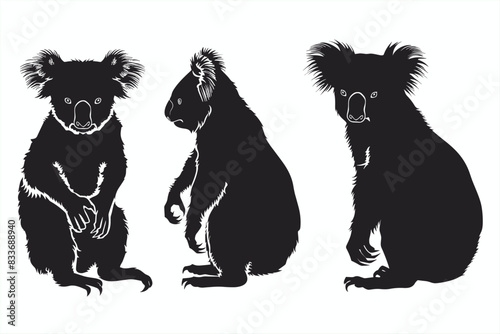 Black silhouettes of koala in different poses on a white background. Koala Bear. collection of koala bear silhouette. koala bear silhouette. 