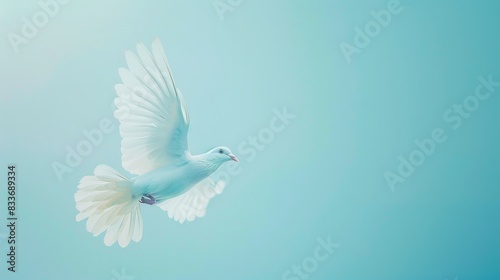 A white pigeon with open wings in flight against a smooth blue background.