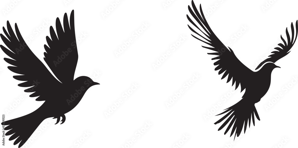 Fototapeta premium bird silhouette white background