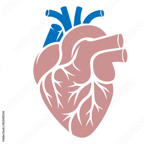 Human heart flat design