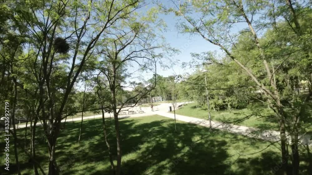 Immerse yourself in the tranquility of nature with this captivating video. Our camera takes you on a peaceful journey through a stunning park, where youll witness the harmonious dance of sunlight
