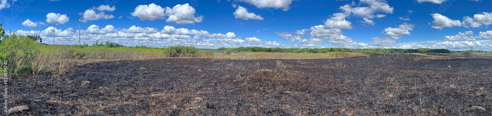 Burned field at Popular Wildlife Management Area in Minnesota Burned field at Popular Wildlife Management Area in Minnesota