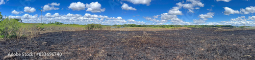 Burned field at Popular Wildlife Management Area in Minnesota