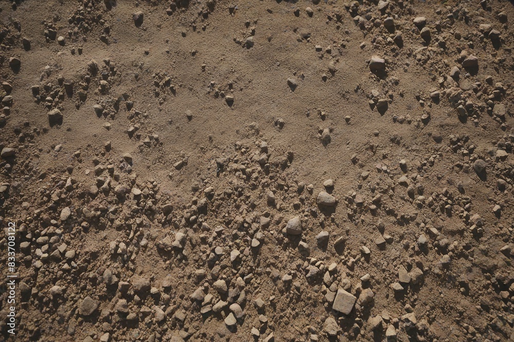 soil background soil background
