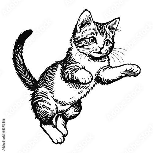 Moggie Cat Kitten Hand Drawn Engraved Ink Line Art Sketch Illustration