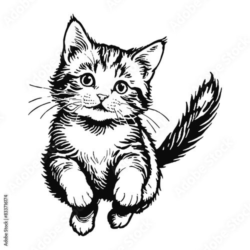 Norwegian Forest Cat Kitten Hand Drawn Engraved Ink Line Art Sketch Illustration
